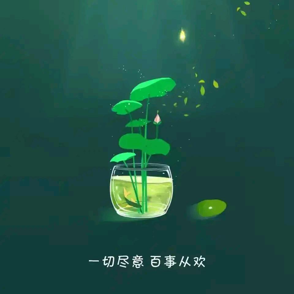 ༺闻雨༻
