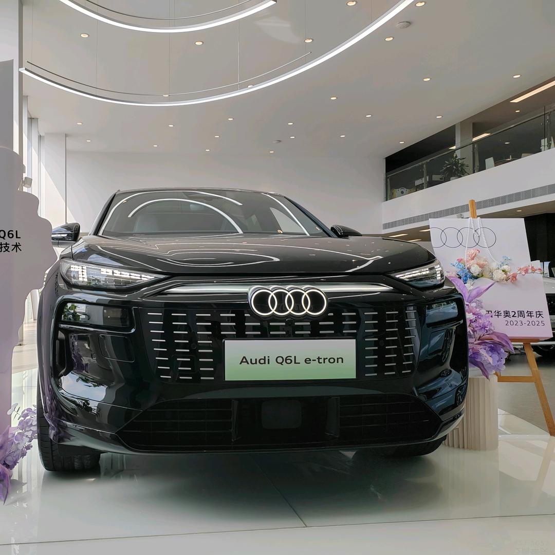 一汽奥迪莆田华奥-新能源