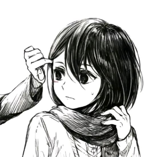 飞鸟 w.d