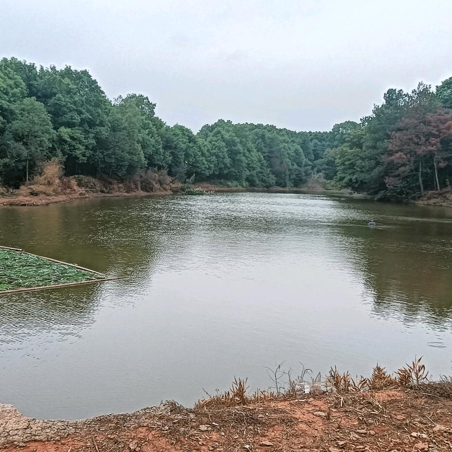 伦冲原塘休闲垂钓园