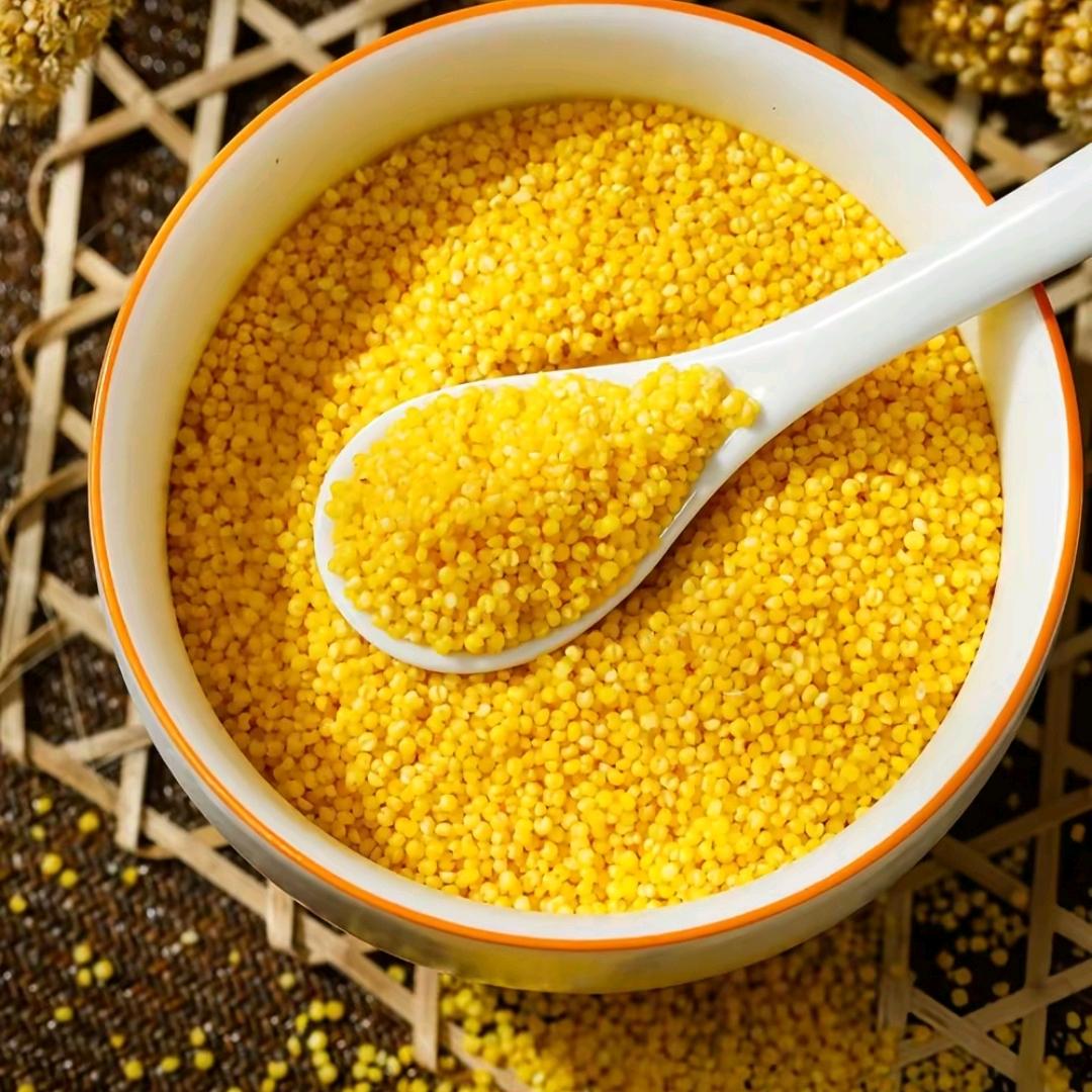 喜洋杨有机甄选