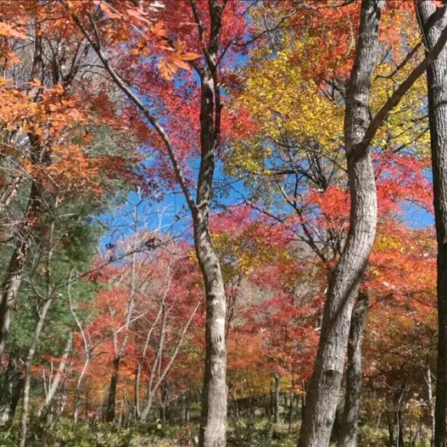 ޓ🎤抖🎤立🎤