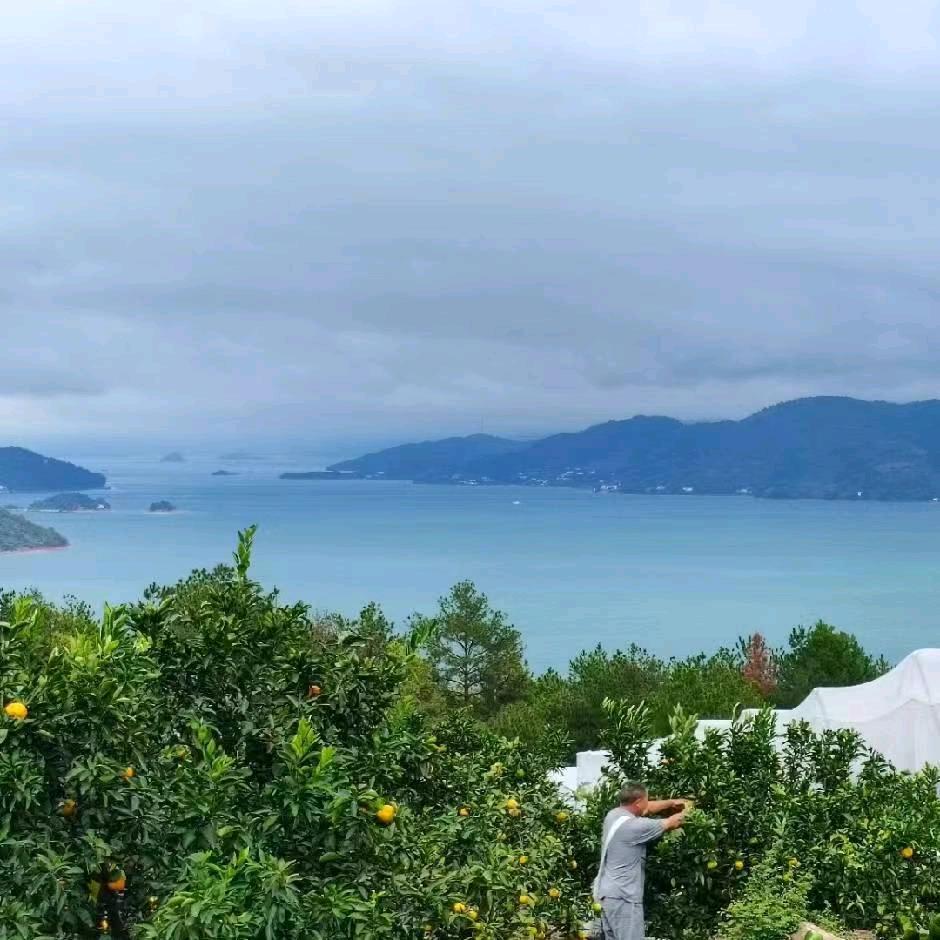 东江湖果农