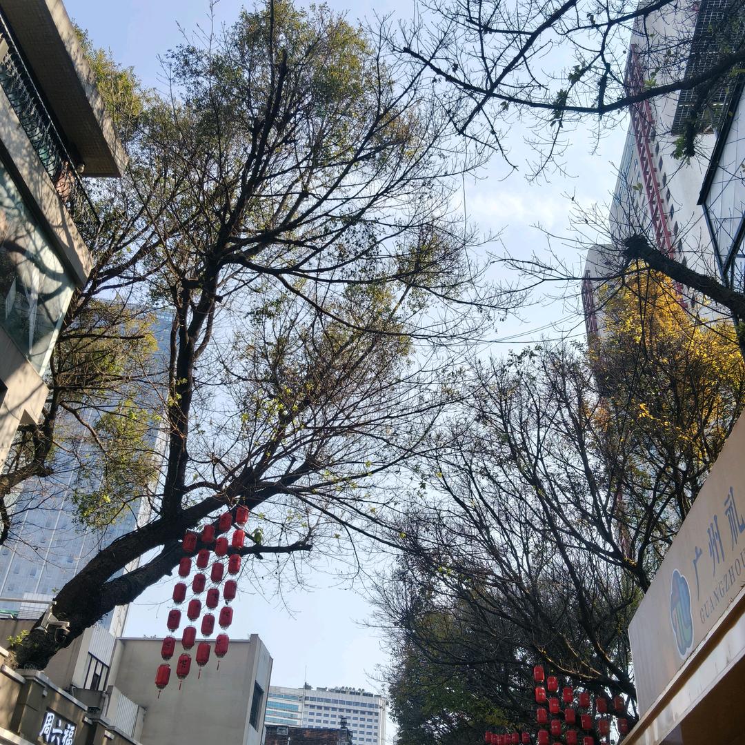 青青探店