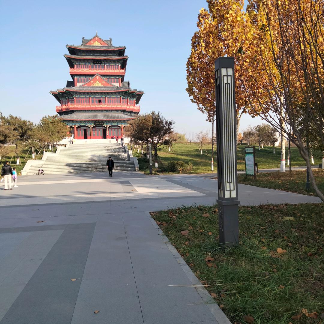 醉笑清风