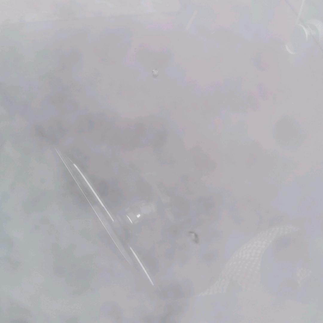 0000