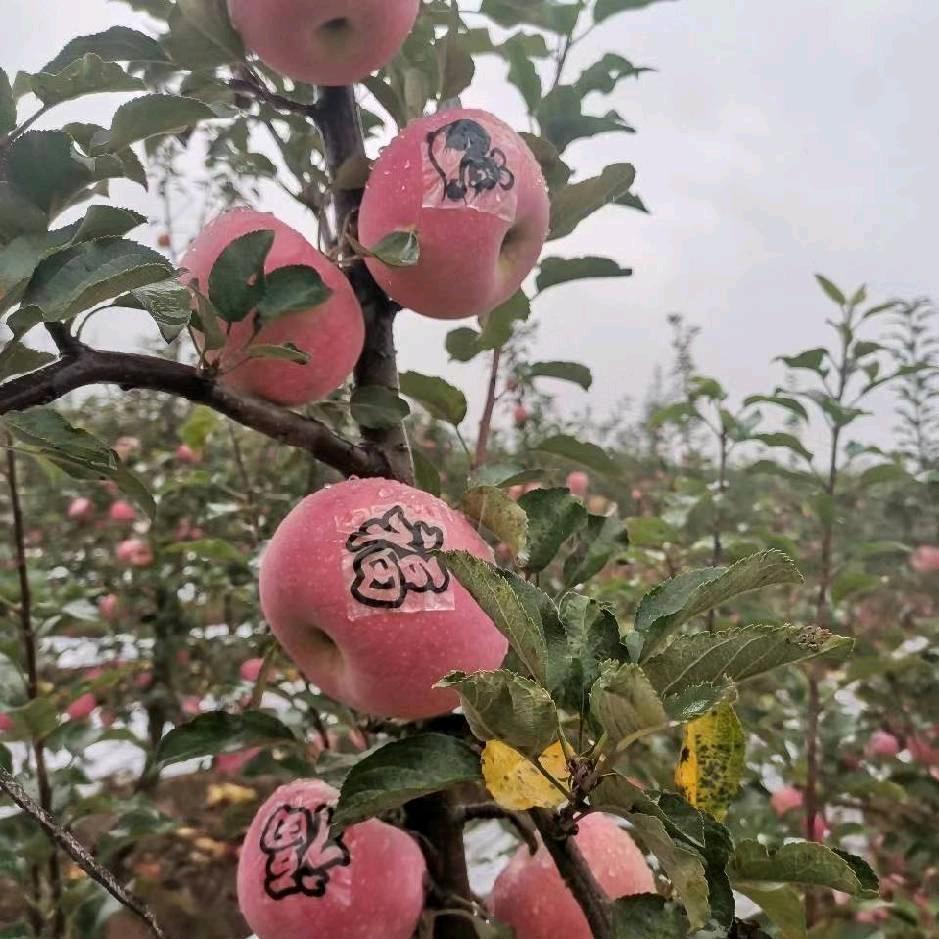 牛姐太原小店区勿娥越百货店