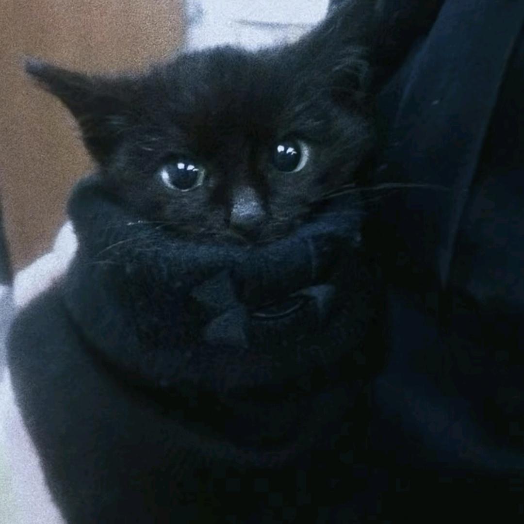 killa