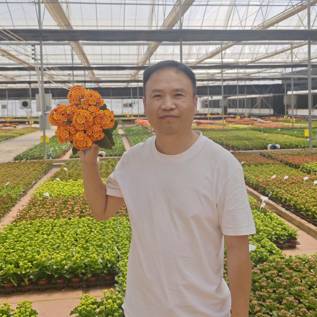 小花匠的花园店