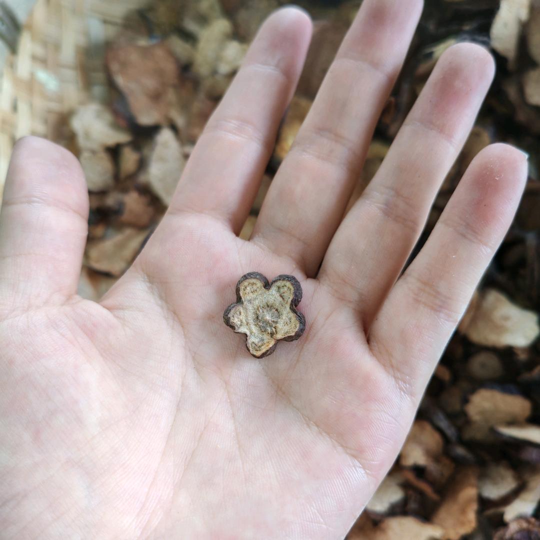 偷了霸总蕾丝内裤套头上在雨夜狂奔