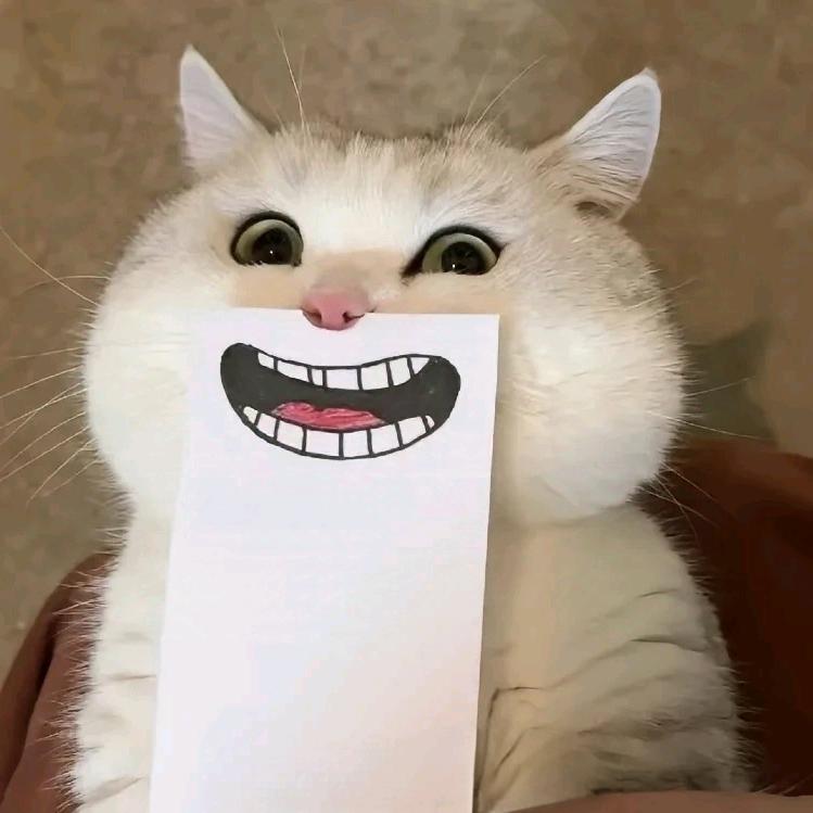 萌爪补给站