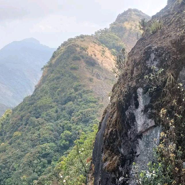 好好爱自己心情