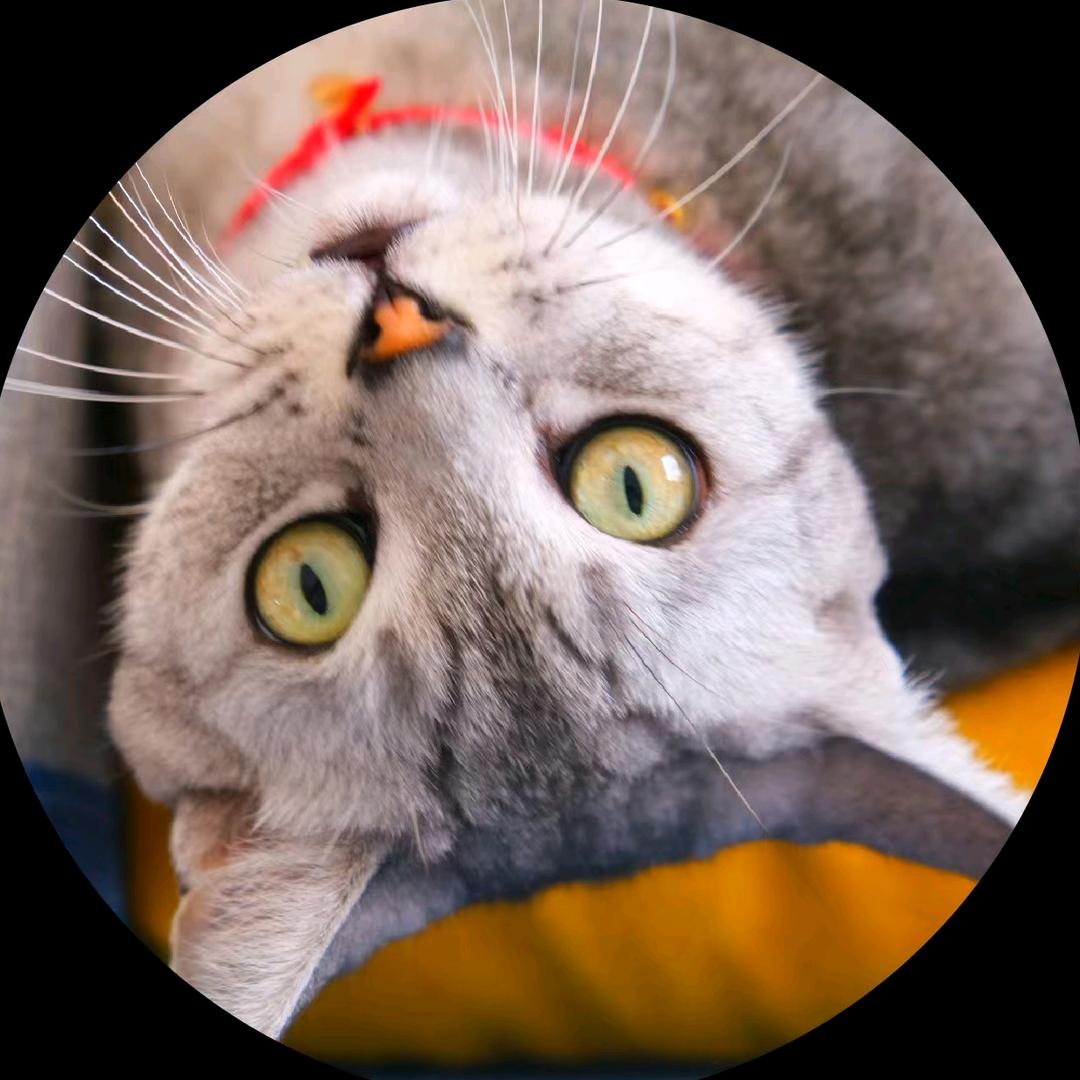 我在昆明的每一天（送外卖）