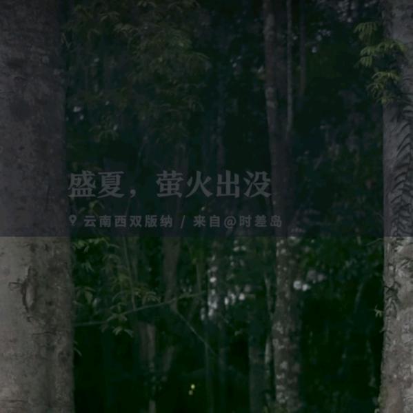 贵州小梅梅