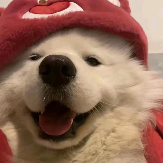 失忆症.