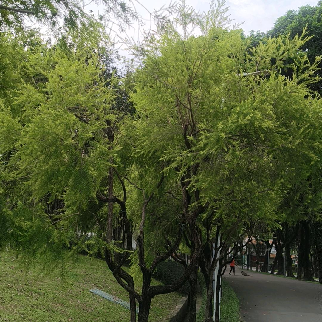 慧慧