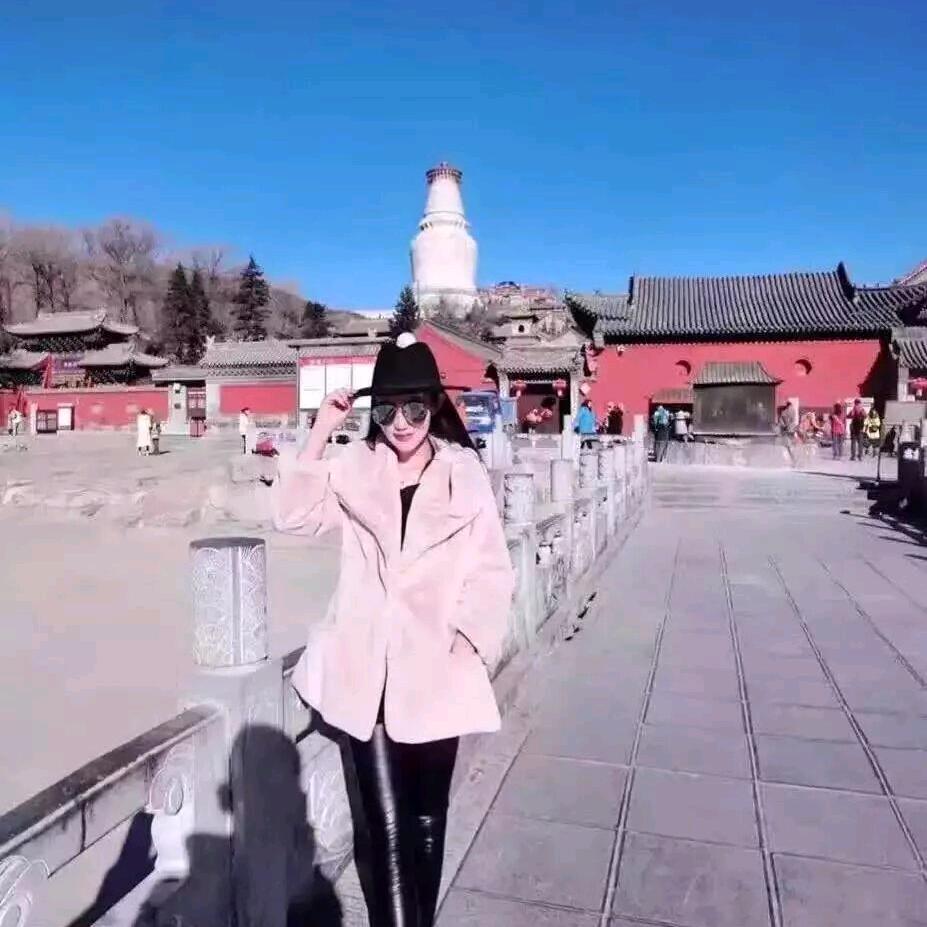 林氏家居桥西店～香芋