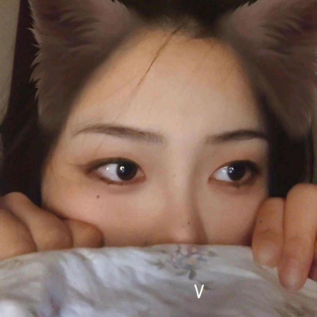 猪猪o(´^｀)o
