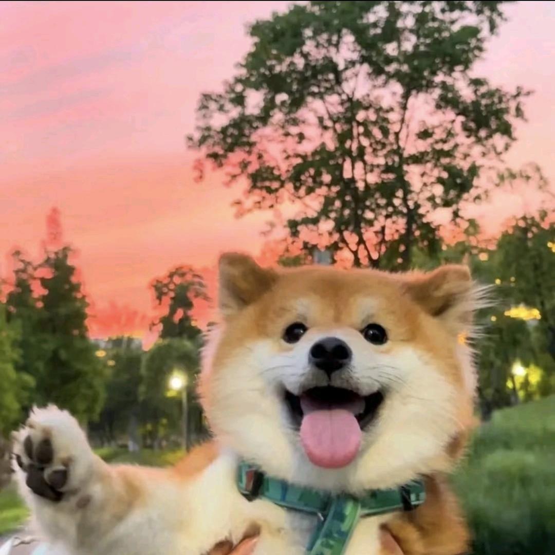 小小郎中江里游