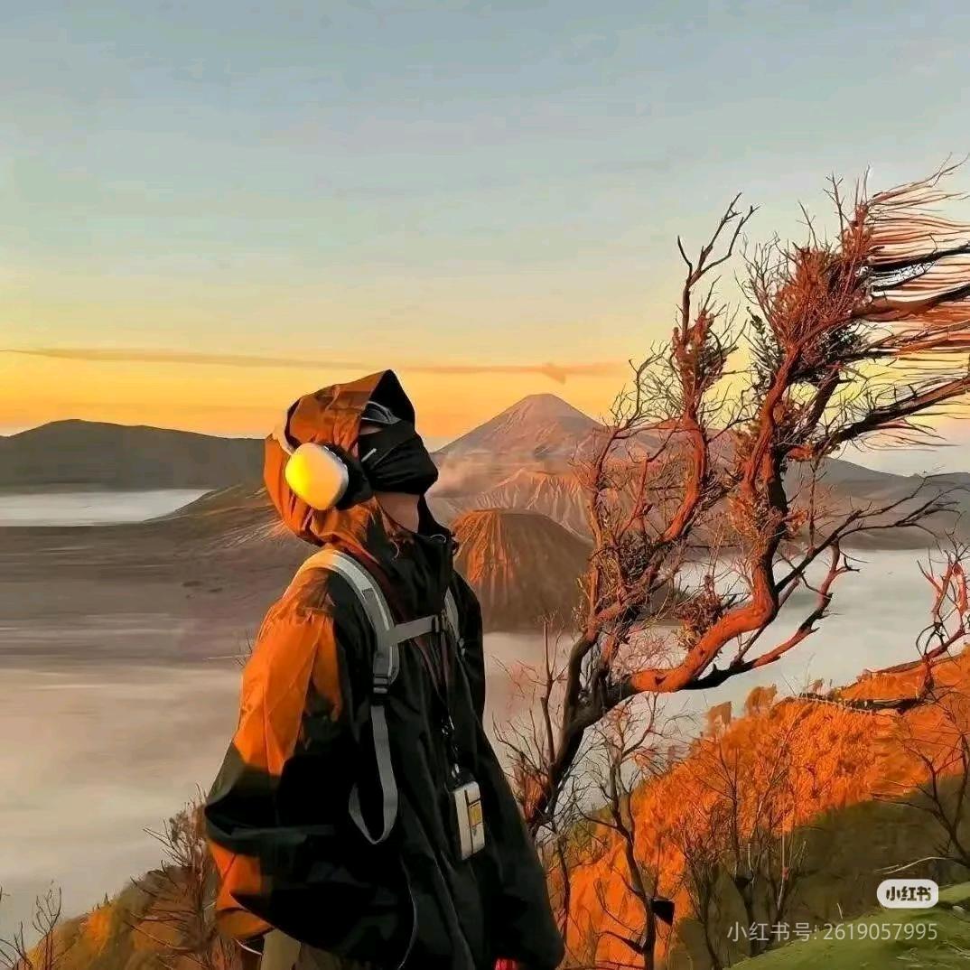 一路向杨🇨🇳