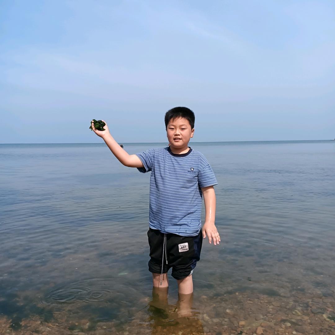 宸宸