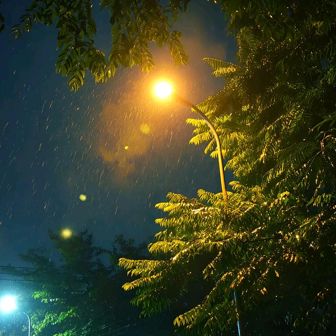 拾荒者