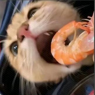 星期五