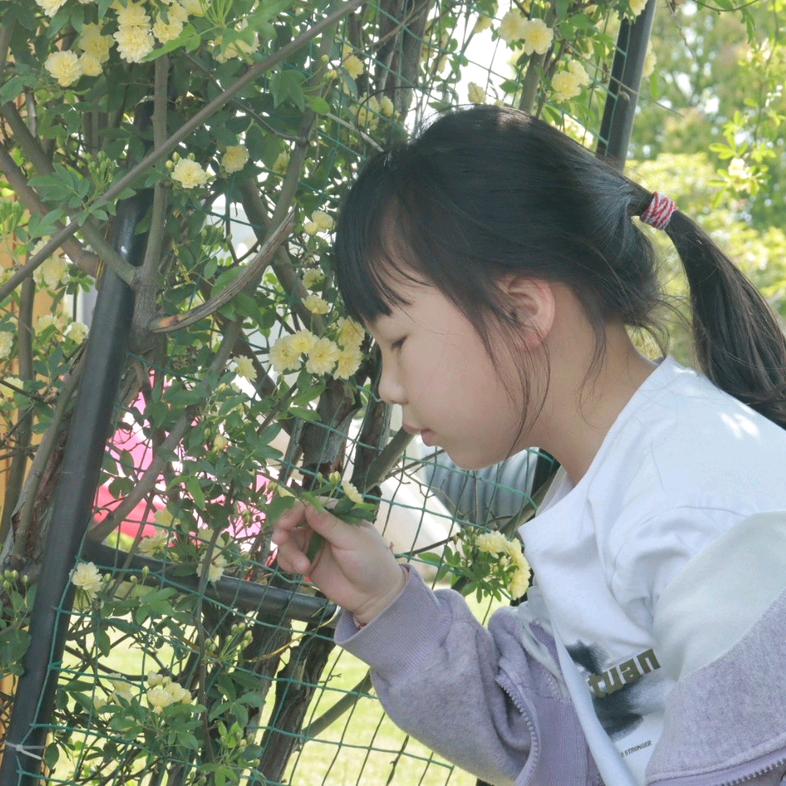 琳琳妈妈