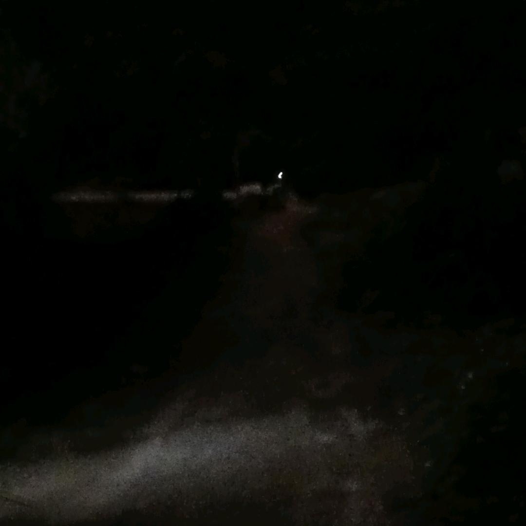 场地