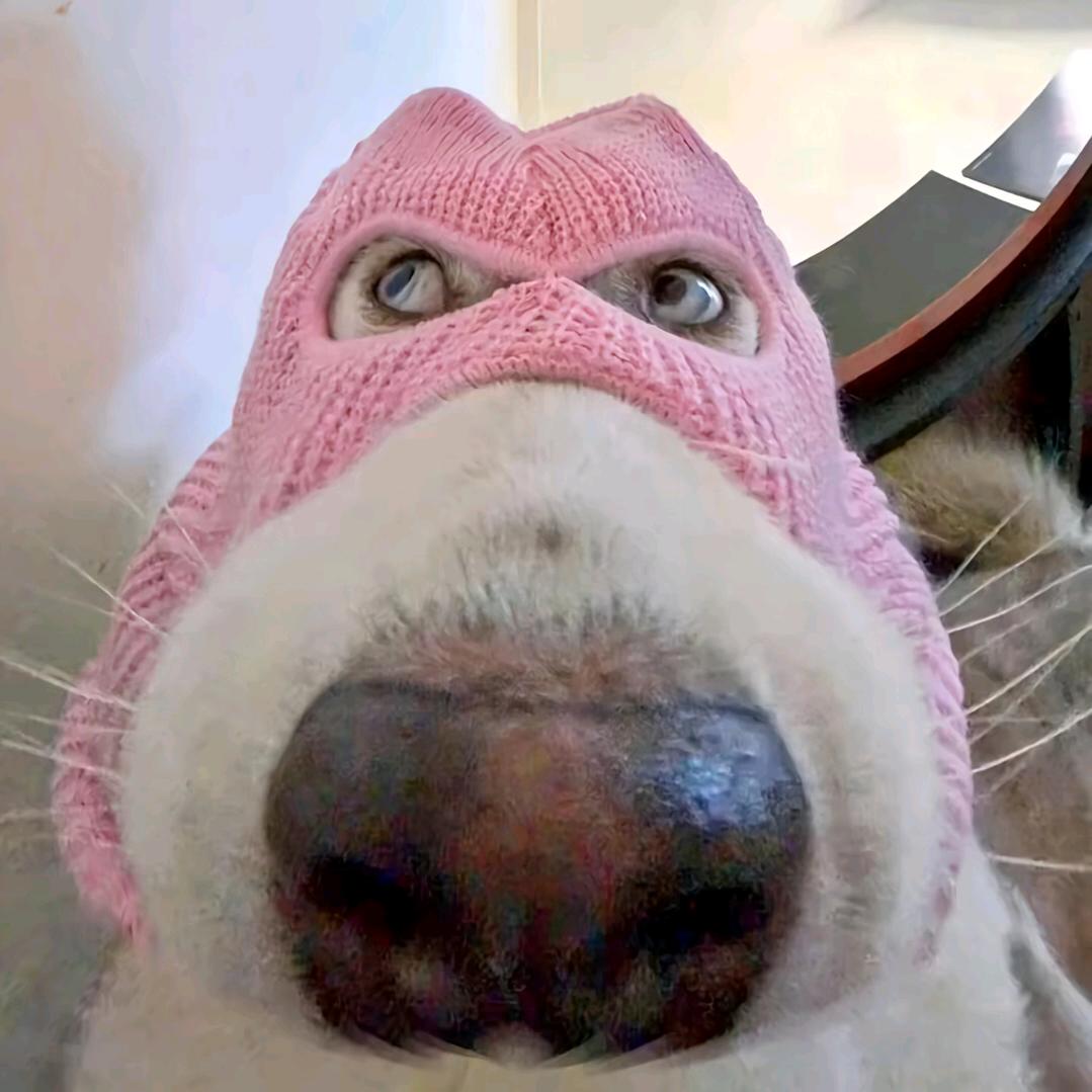 人