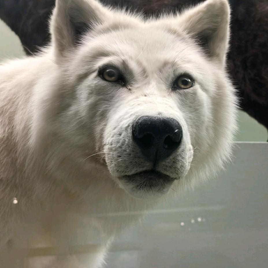 雨云