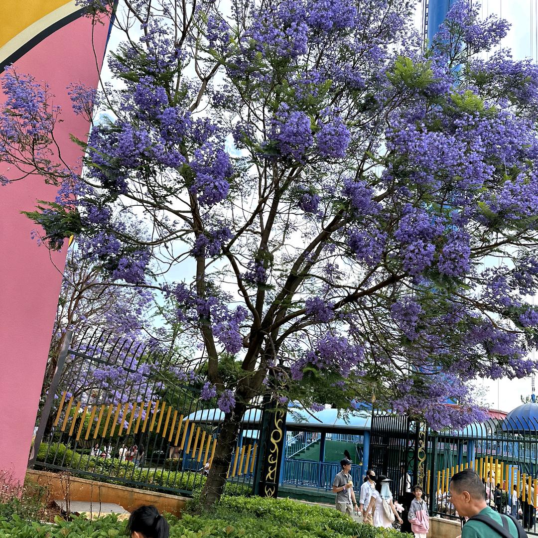 普罗旺斯的微光