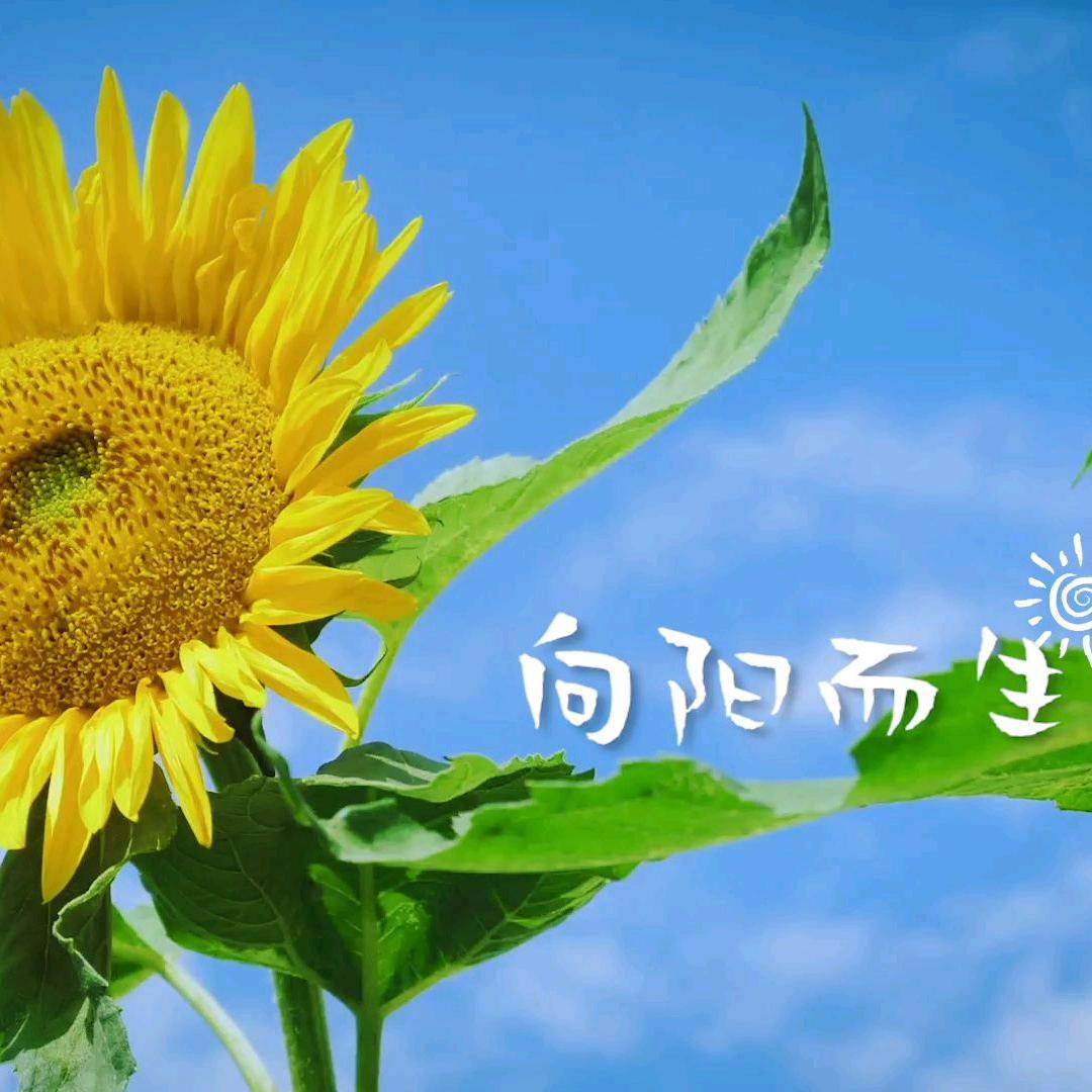 感恩