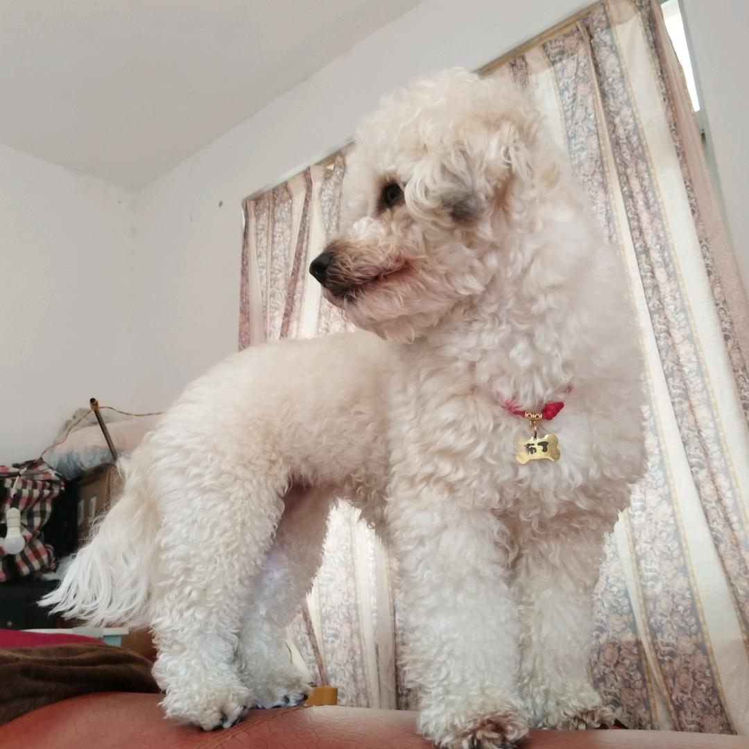 🤡🤡风雨同舟