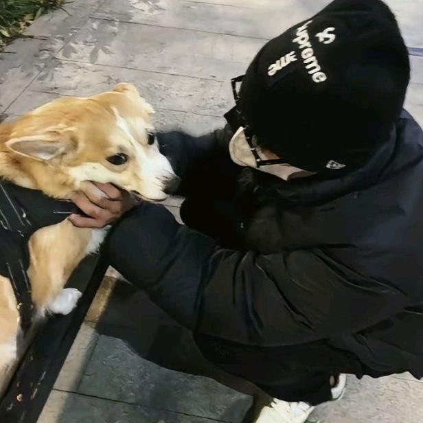 一根开心的狗毛