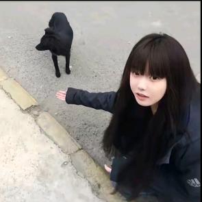 鑫🌴