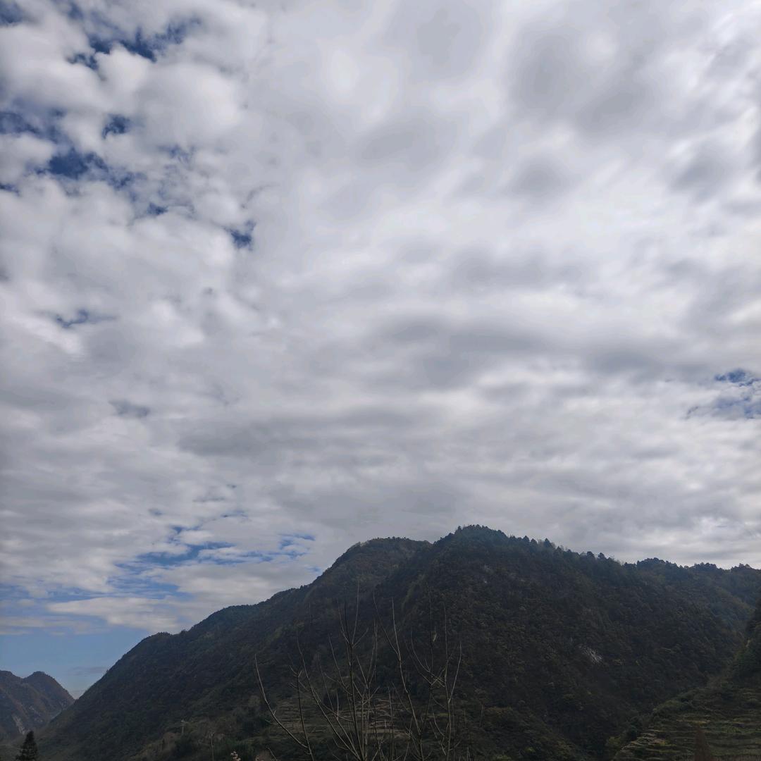 陌兮