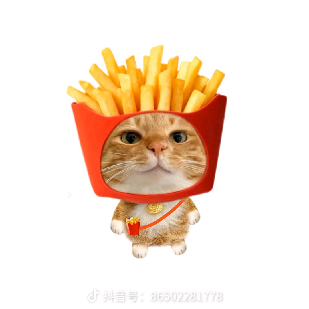 薯条🍟