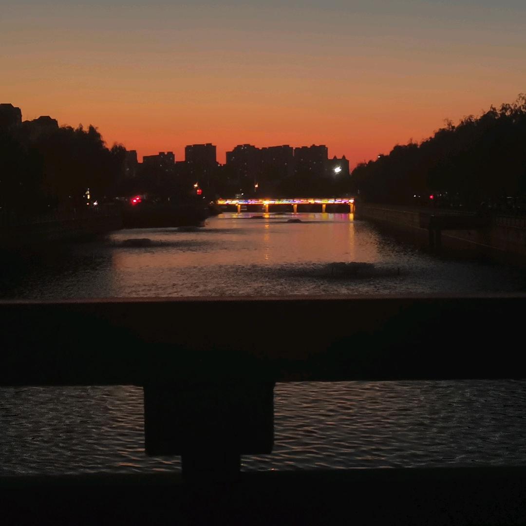 ⊹꙳ ˶˙ᵕ˙˶ ⊹꙳