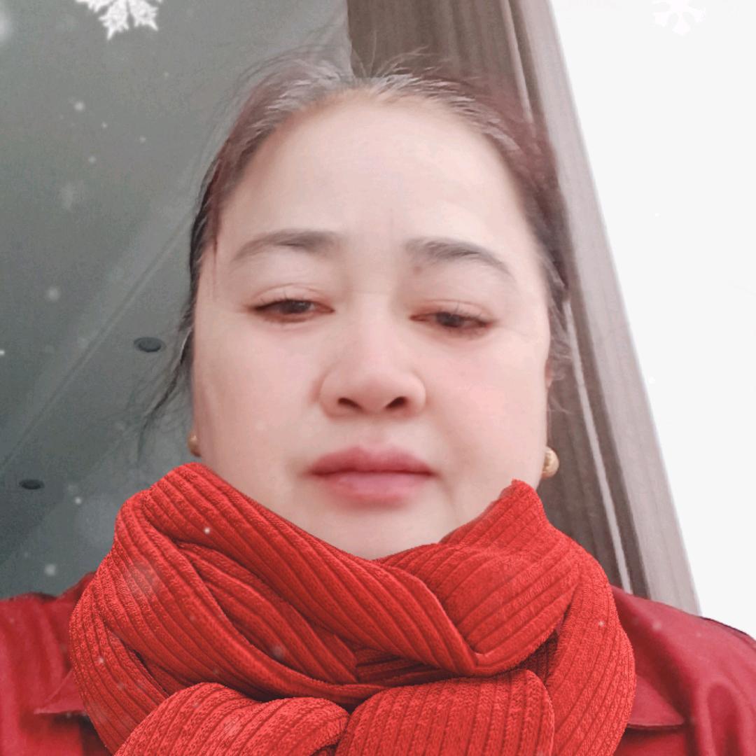 玫瑰舞韵飞扬