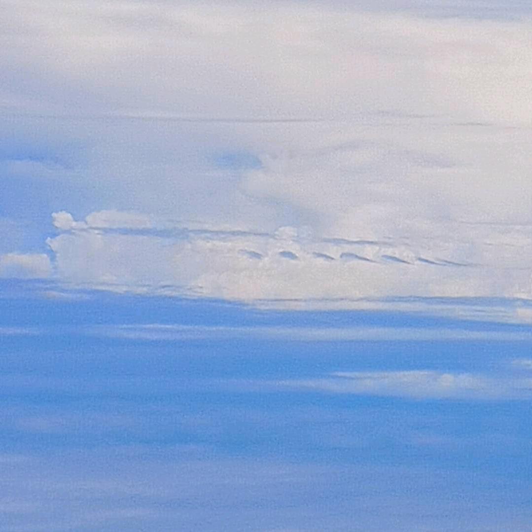 枫止