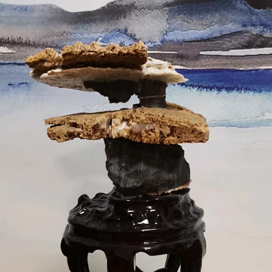 庆哥宣艺(摆件、山水盆景、景观制作)