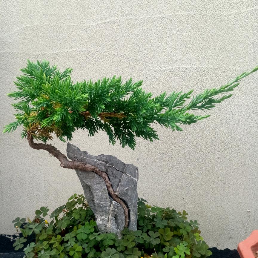 荣城小小散