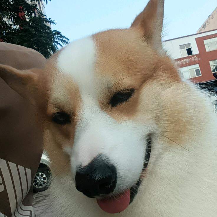 清风 徐来
