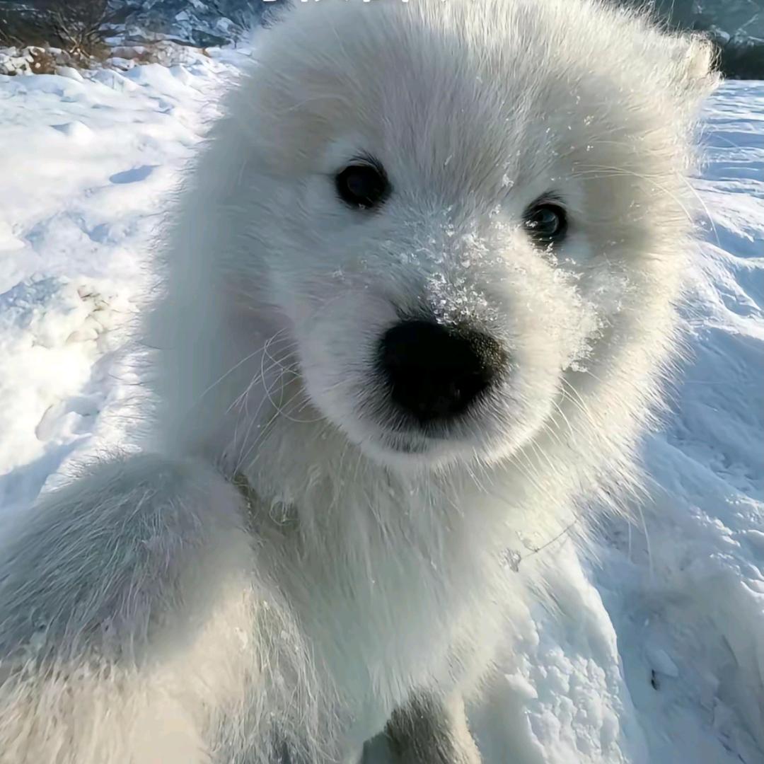 。。。。。。。