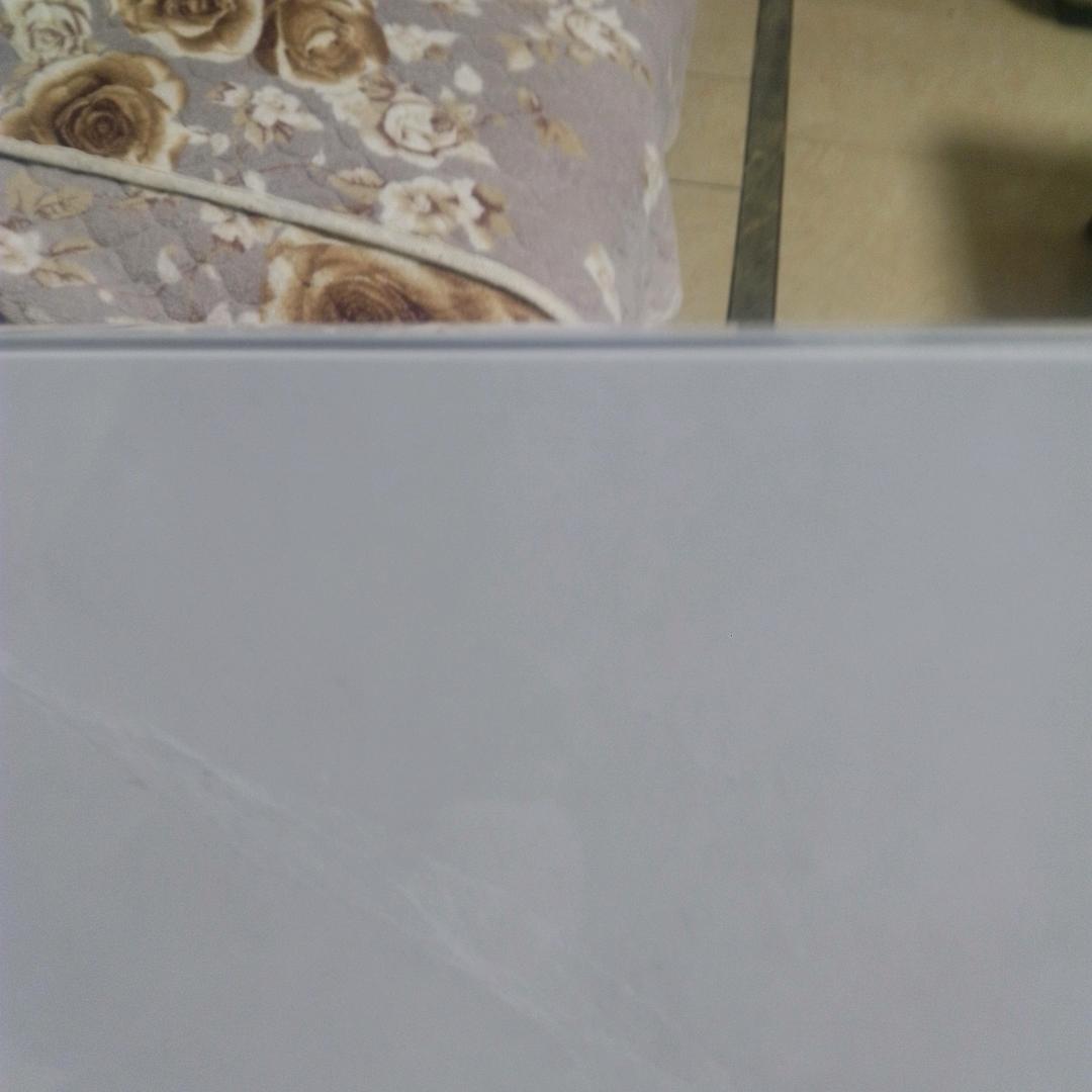鲫闊鱼