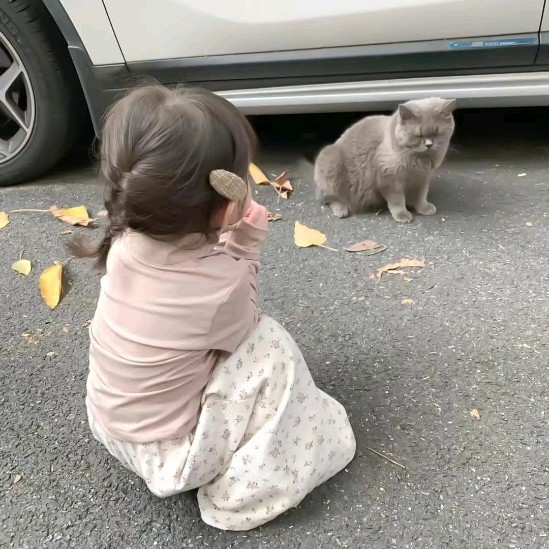七秒钟记忆.