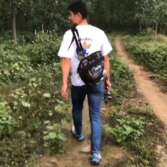 户外老白条