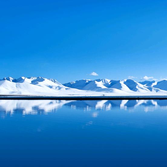 👍👍💰💰👍👍