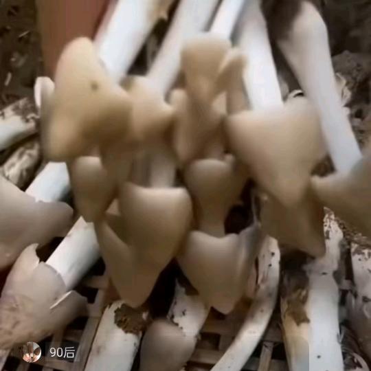 百货小店